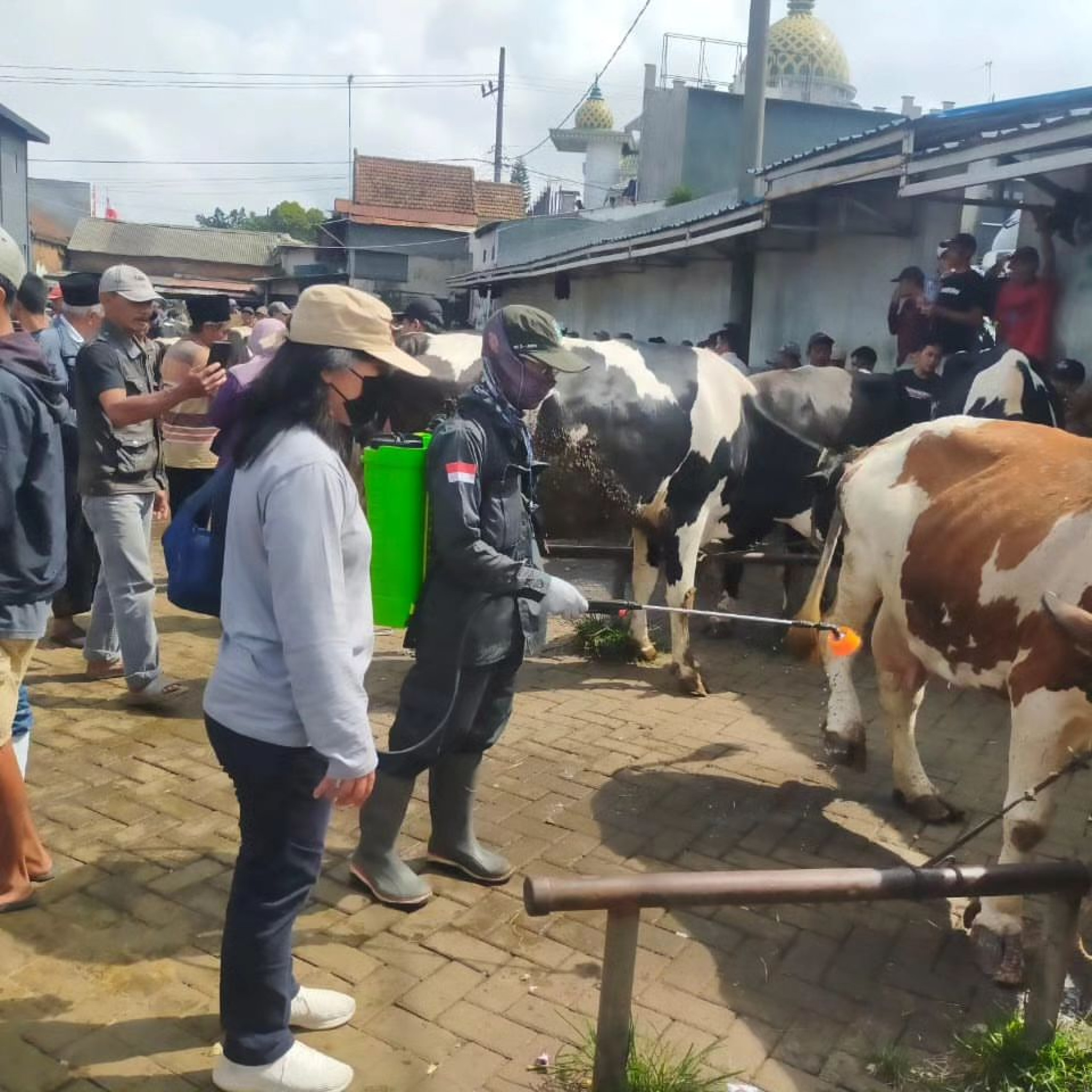 Penyemprotan Desinfektan - Pasar Hewan, Kecamatan Tutur