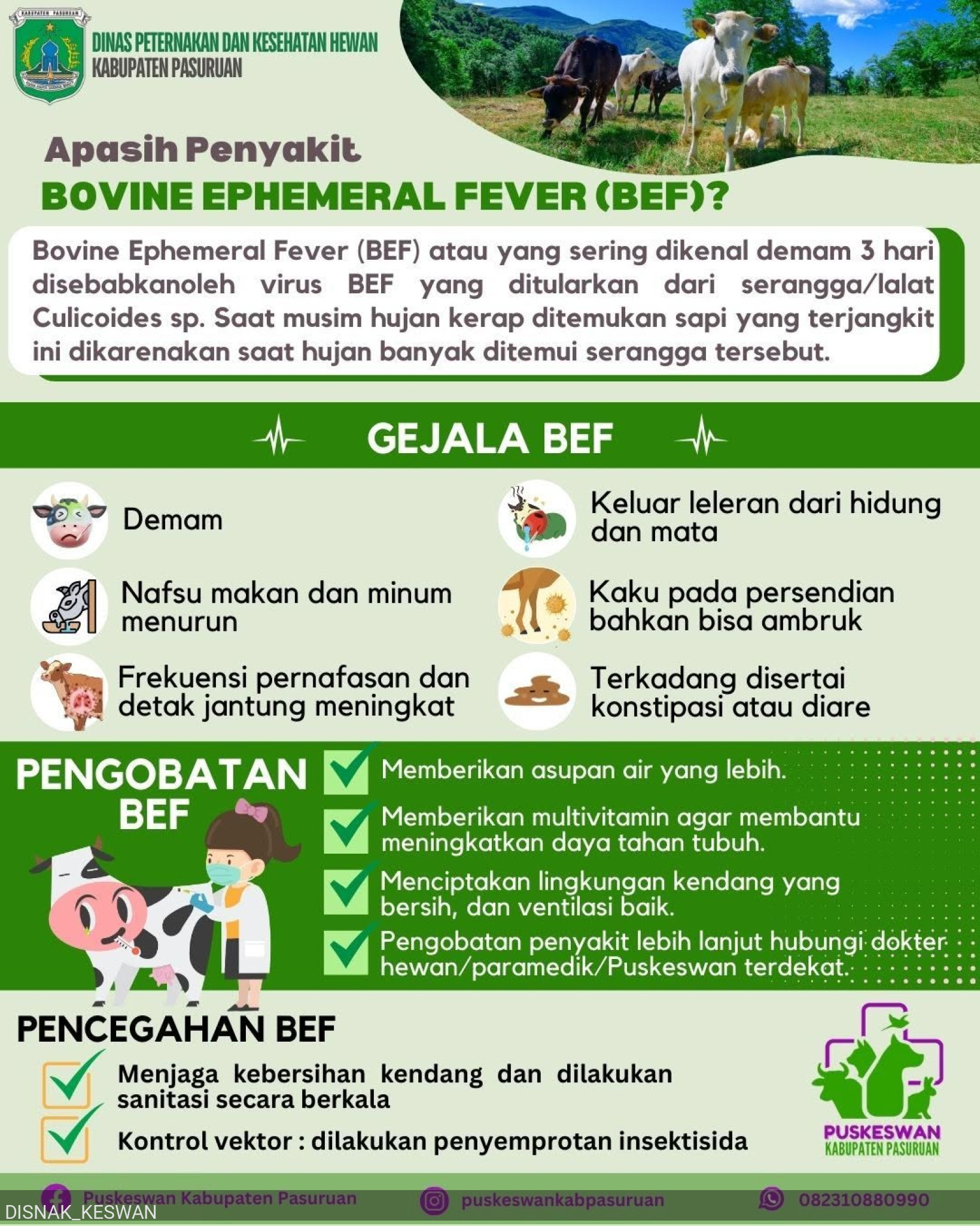 BEF (Bovine Ephemeral Fever)